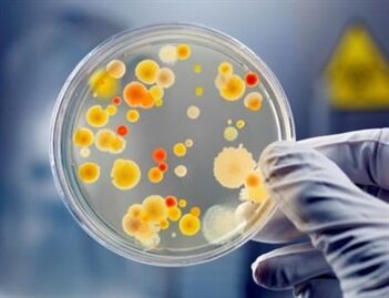 Bakterije mogu uzrokovati kronični prostatitis