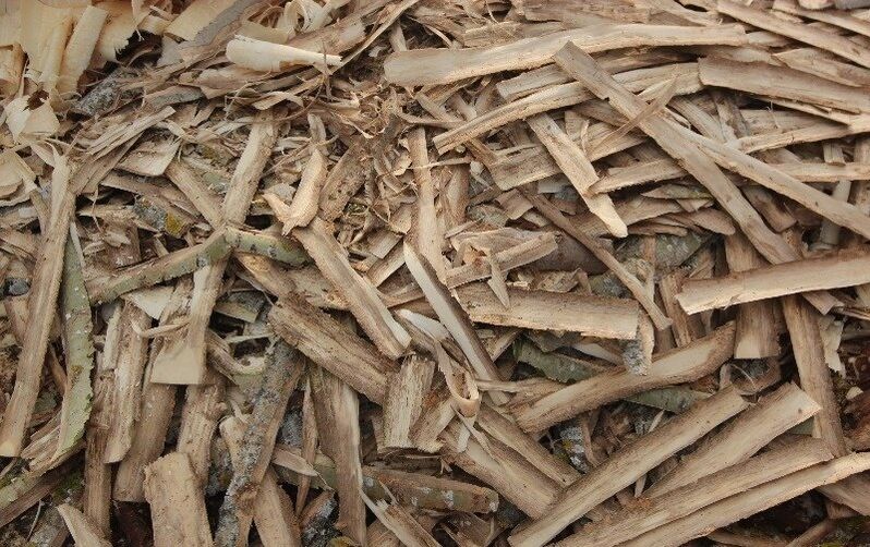 aspen kora za prostatitis