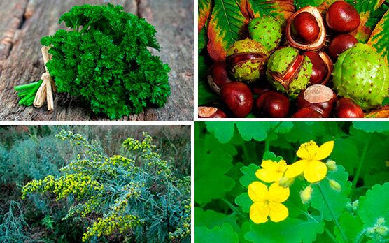 biljke za liječenje prostatitisa